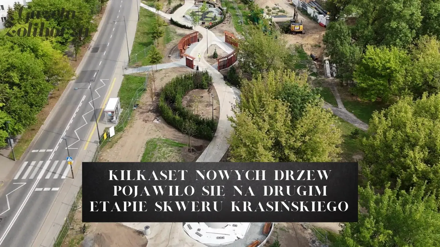 Zasadzono nowe drzewa na Skwerze Krasińskiego – Wideo z drona